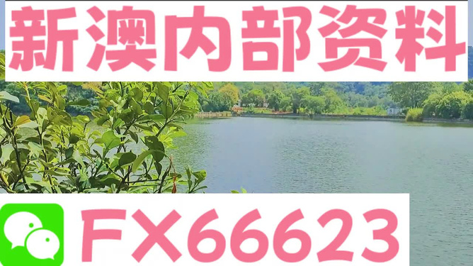 简报 第142页