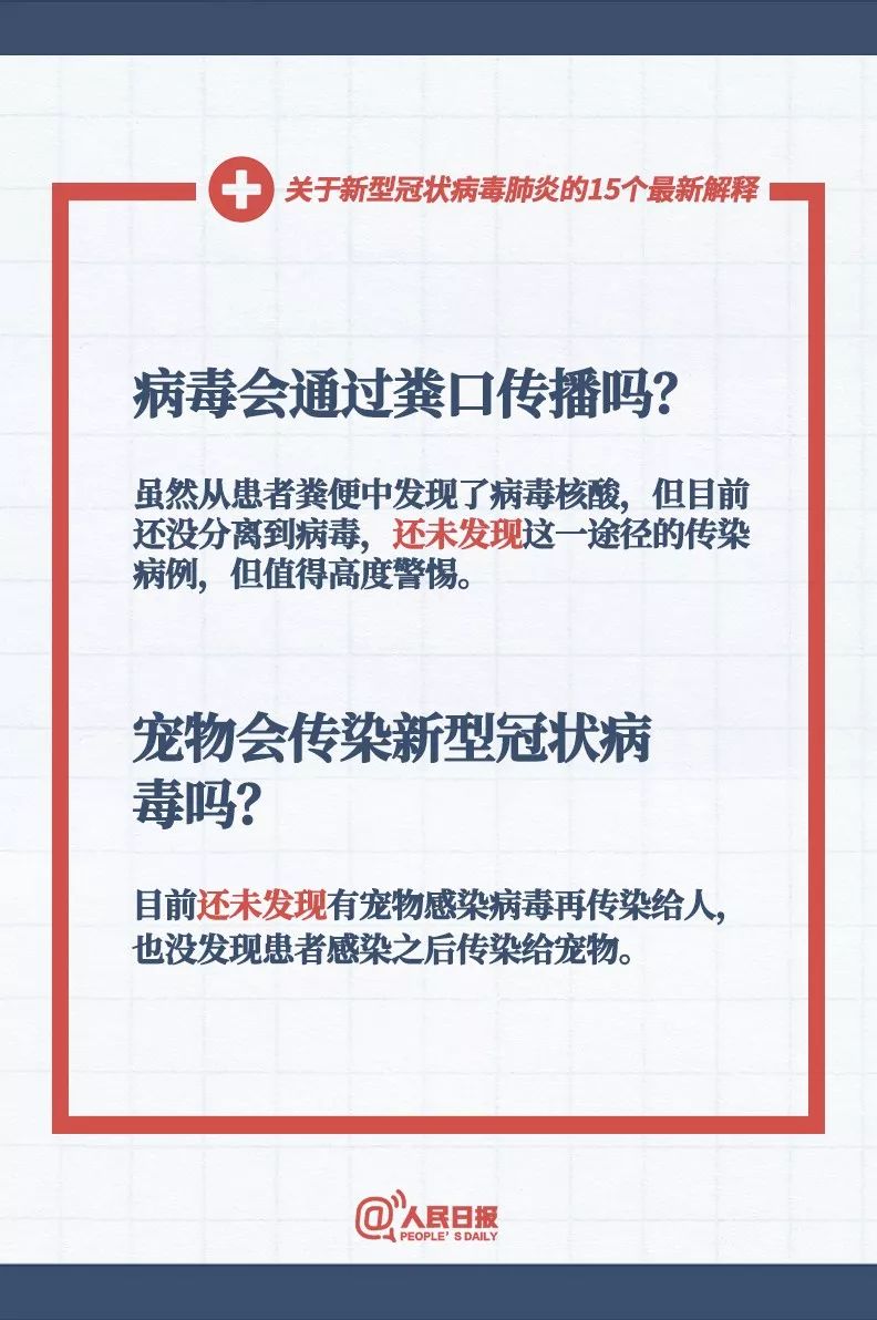 新澳门免费全年资料查询，专横释义与落实背后的违法犯罪问题探讨