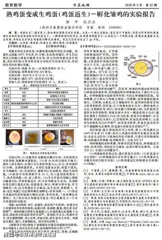 澳门一码一肖一特一中跨科释义与落实解析