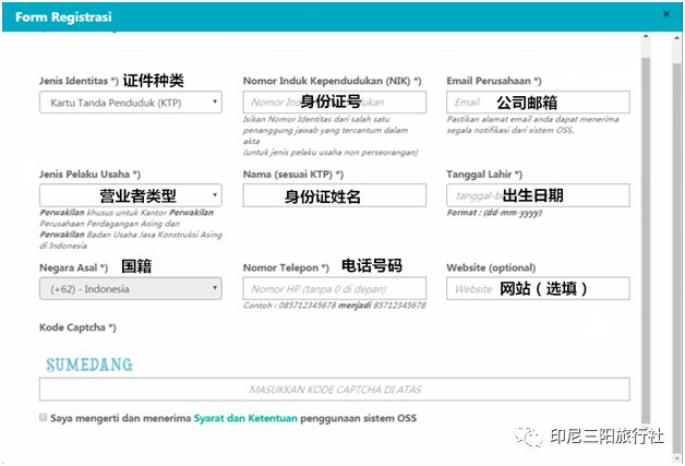 探索与解析，新澳门资料大全正版资料2024年免费下载背后的犯罪问题解析